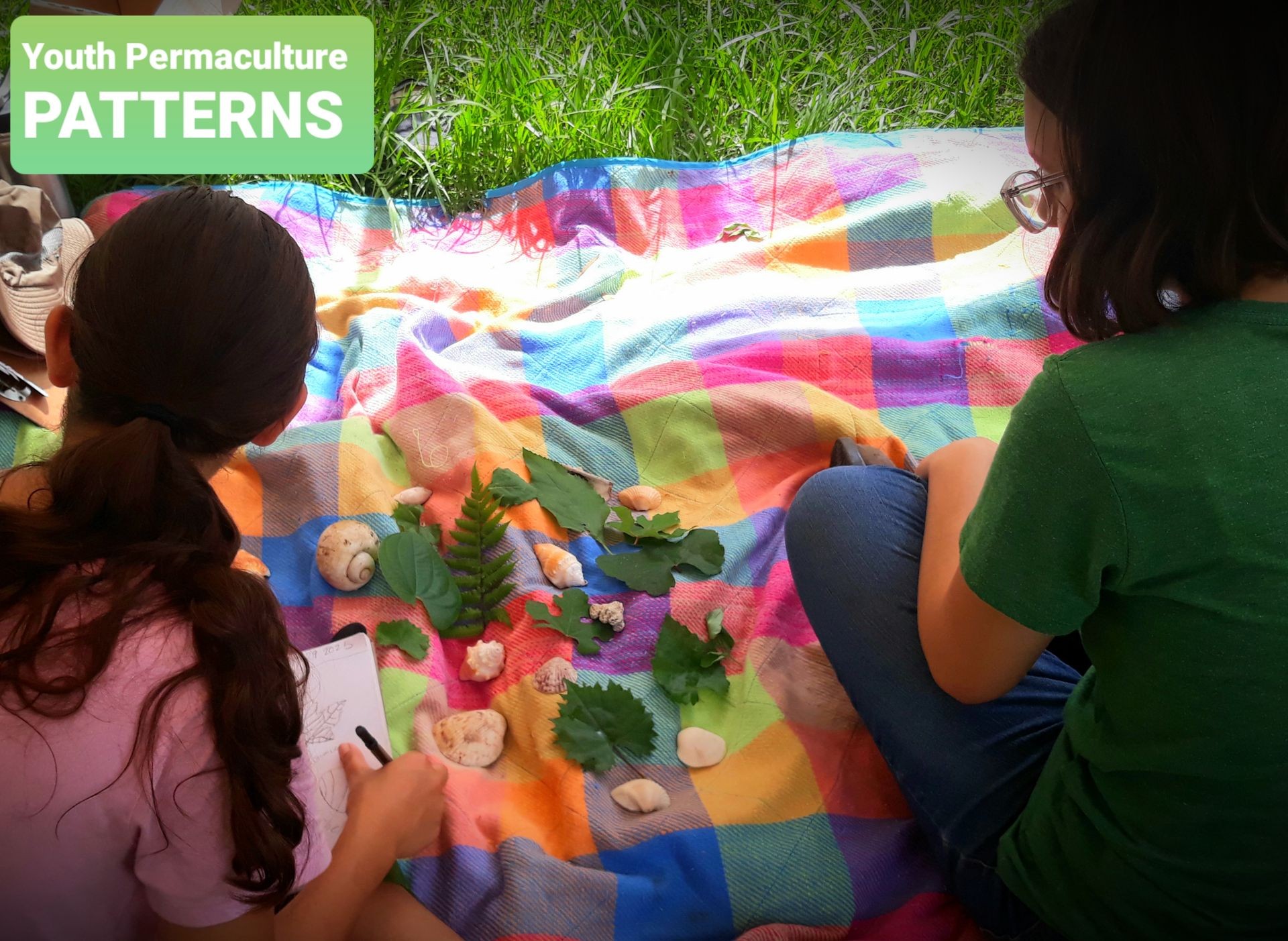 Youth Permaculture
